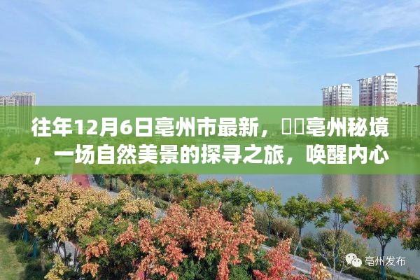 亳州市秘境探寻之旅，自然美景唤醒内心的宁静与欢笑