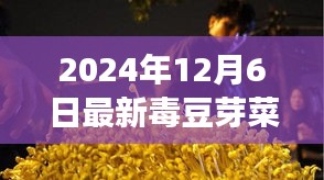 豆芽菜种植进阶，从新手到专家，最新毒豆芽菜种植指南（2024版）