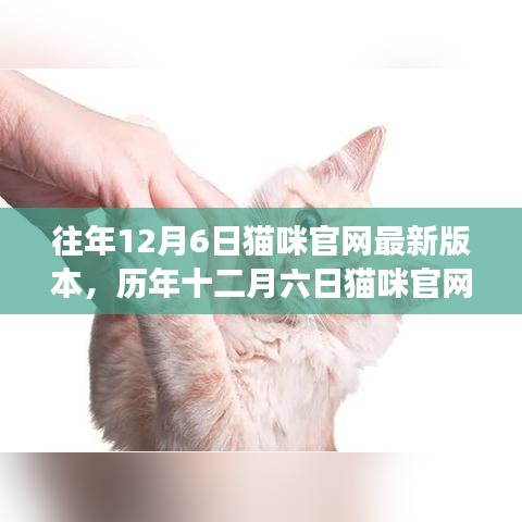 历年十二月六日猫咪官网新版深度解析，背景、影响与特定时代地位探索