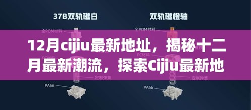 揭秘十二月最新潮流，探索Cijiu最新地址的独特魅力与时尚风采