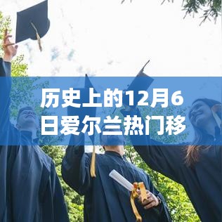 历史上的12月6日爱尔兰移民政策演变及其影响