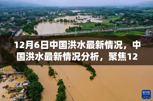 中国洪水最新动态分析，聚焦12月6日态势与观点探讨