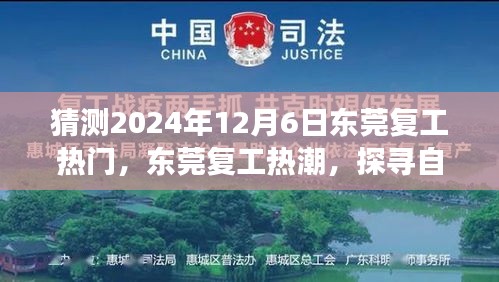 东莞复工热潮来袭，探寻自然美景之旅启程心灵宁静之旅（预测2024年12月6日）