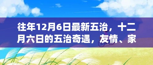 十二月六日五治奇遇，友情、家庭与爱交织的温暖之旅