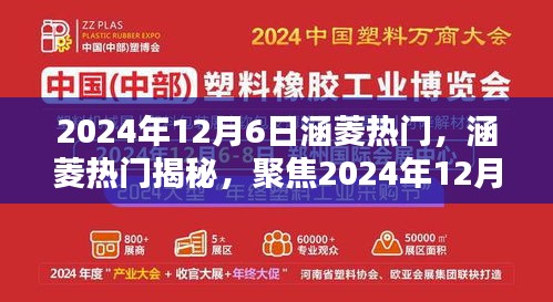 涵菱热门揭秘，聚焦三大看点，揭秘2024年12月6日的秘密