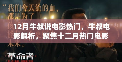 牛叔电影解析，聚焦十二月热门电影的多元视角解读