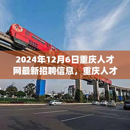 2024年重庆人才网最新招聘信息，职场机遇与挑战一览