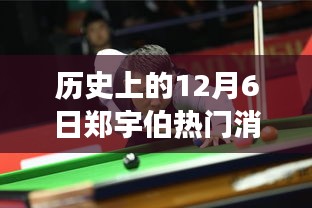 风云际会，历史上的12月6日郑宇伯热门消息全解析