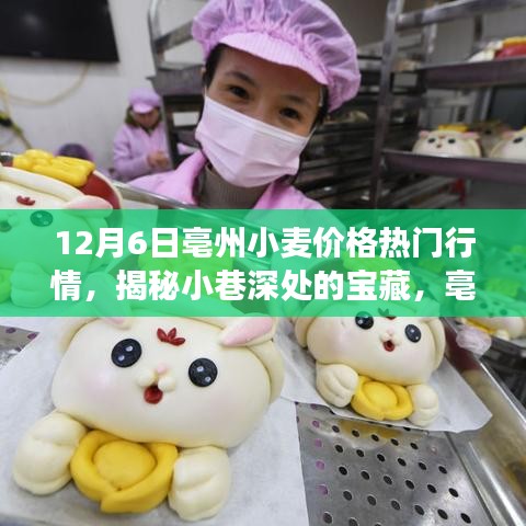 揭秘亳州小麦行情热门行情下的面食文化与宝藏面食体验