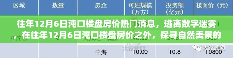 逃离数字迷雾，探寻沌口楼盘房价背后的自然诗意之旅（往年12月6日热门消息）