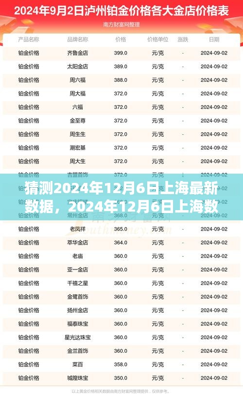 2024年12月6日上海数据预测与分析，观点阐述及前瞻