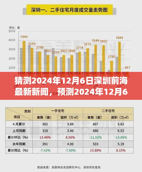 2024年12月6日深圳前海最新新闻动向展望