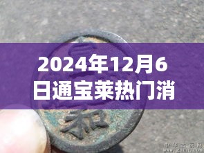 通宝莱2024年12月6日，温馨日常与奇遇友情的交织