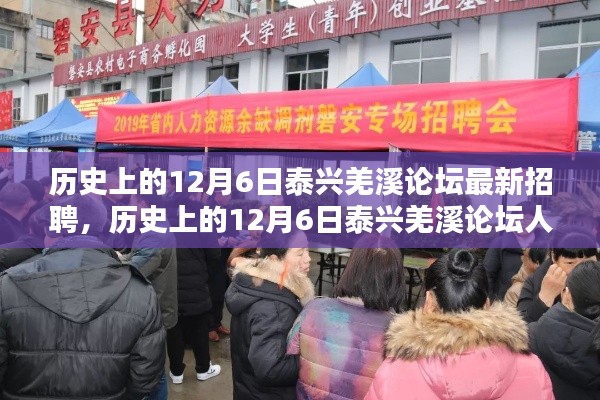 历史上的12月6日泰兴羌溪论坛招聘盛况概览，最新人才招聘盛况概览