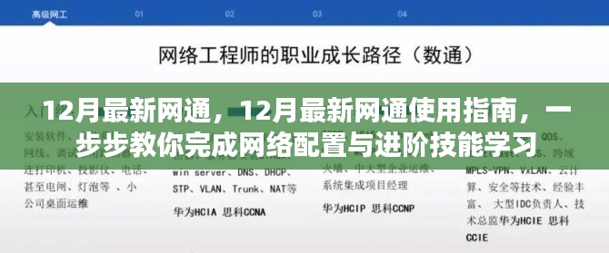 12月最新网通使用指南，网络配置与进阶技能学习全攻略