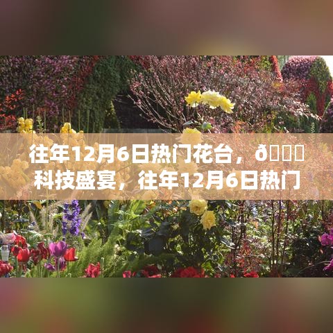 往年12月6日热门花台，科技盛宴开启，全新升级体验未来生活之美