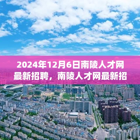 南陵人才网最新招聘动态，聚焦未来职场机遇（2024年12月）