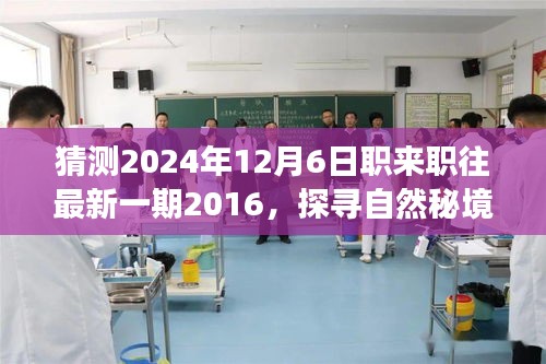 探寻自然秘境，心灵之旅启程，职来职往最新一期预告 2024年12月6日即将揭晓