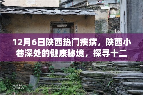 陕西小巷深处的健康秘境，探寻十二月热门疾病与特色诊所的神秘面纱