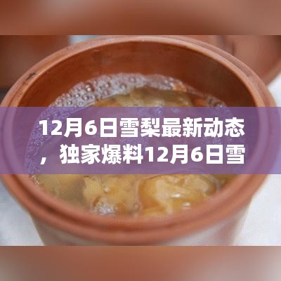 初告白 第3页