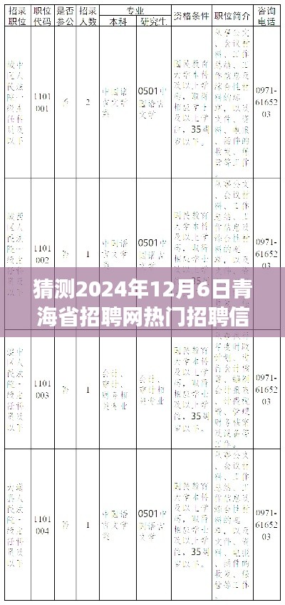 青海省招聘网热门预测，未来之约，友情与梦想的交汇点（2024年12月6日招聘展望）