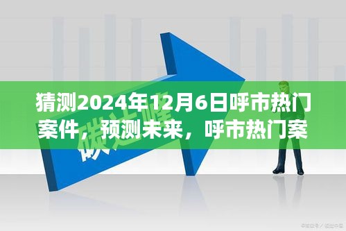 呼市热门案件深度解析与展望，预测未来趋势至2024年12月6日