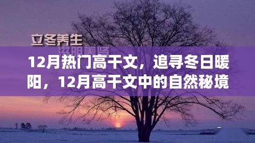 12月高干文中的自然秘境之旅，追寻冬日暖阳的魅力篇章