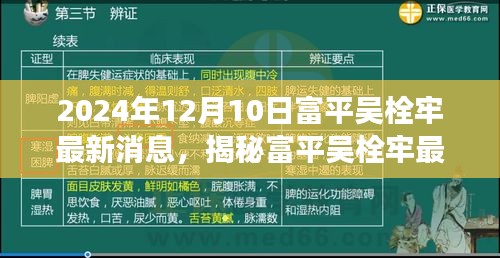 揭秘富平吴栓牢最新消息，获取与解读信息的初学者与进阶用户指南（2024年12月10日更新）