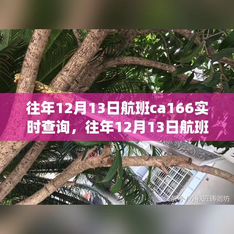 往年12月13日航班CA166实时查询详解与评测介绍