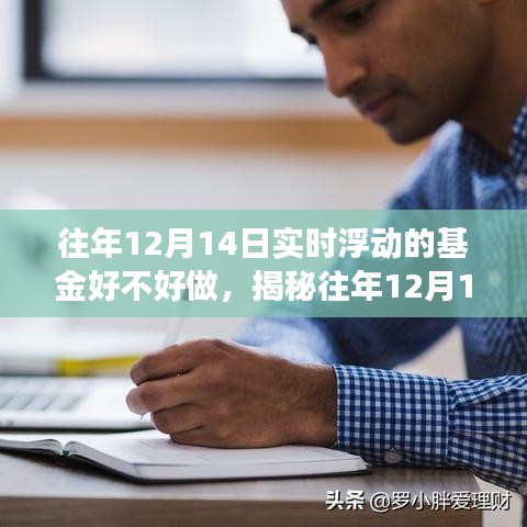 揭秘12月14日实时浮动基金，市场走势下的投资机遇与挑战分析