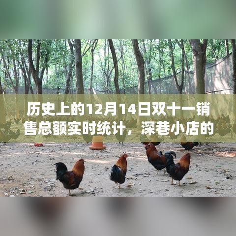 揭秘历史双十一销售奇迹，深巷小店的秘密与实时销售总额统计背后的故事