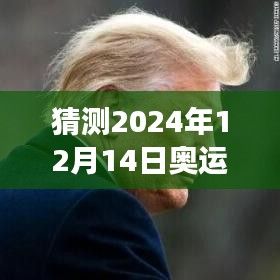 CNN视角下的2024年奥运会实时奖牌榜，视角切换与深度思考