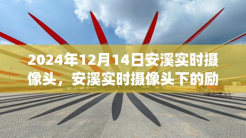 安溪实时摄像头下的励志之光，学习变化的力量与自信的绽放瞬间（2024年12月14日）