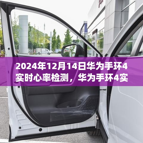 华为手环4实时心率检测功能深度解析，体验、特点与体验分析