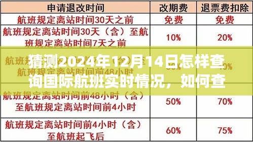 2024年12月14日国际航班实时查询指南，从初学者到进阶用户全攻略