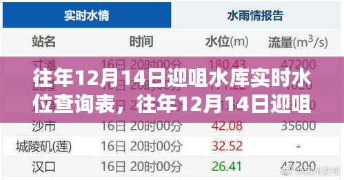 往年12月14日迎咀水库实时水位查询表及其制作指南概览