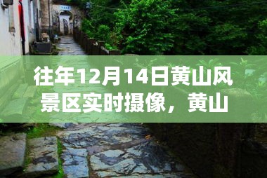 黄山风景区往年12月14日实时摄像，领略脚下小巷秘境的绝美风光与特色小店之旅