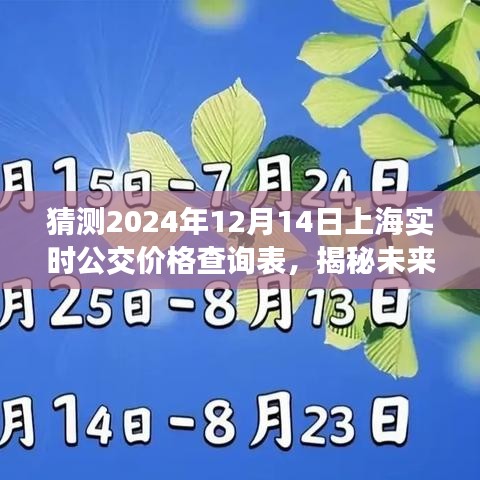 揭秘未来公交价格，2024年12月上海实时公交查询表大探索