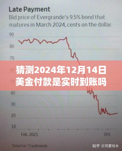 关于预测分析，2024年美金付款实时到账的现状与趋势展望