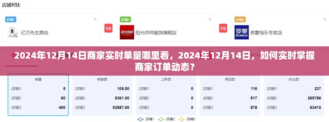 如何实时掌握商家订单动态，查看2024年12月14日商家实时单量的方法