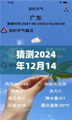 关于肺炎利群在特定日期的实时动态分析预测与探讨，2024年12月14日的观察与探讨