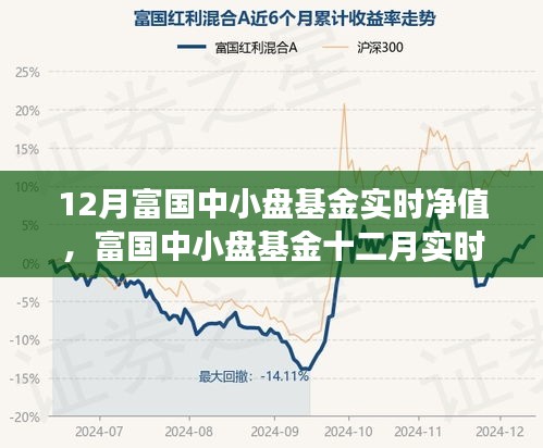 富国中小盘基金十二月实时净值背景深度解析与事件影响评估