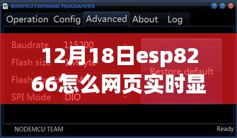 ESP8266网页实时数据显示指南，12月18日ESP8266实时数据展示教程