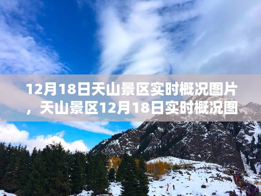 天山景区12月18日实时概况图片及观赏攻略，领略自然之美的绝佳旅程