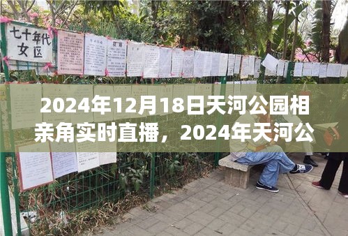 2024年天河公园相亲角深度评测与实时直播介绍