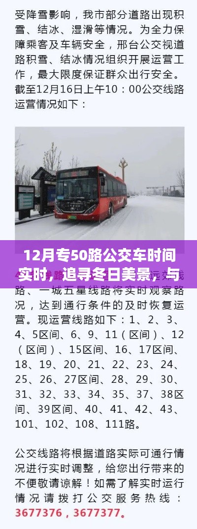 冬日公交之旅，追寻美景的心灵逃离与发现之旅——专50路公交车实时时间指南