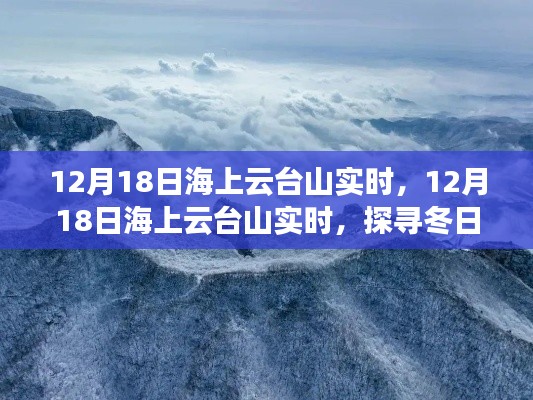 探寻冬日海上云台山奇景的魅力实时报道