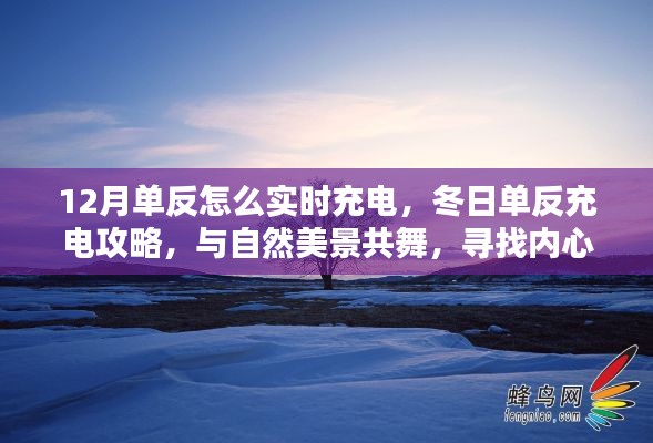 冬日单反充电指南，实时充电与自然美景的双重体验，探寻内心宁静与力量