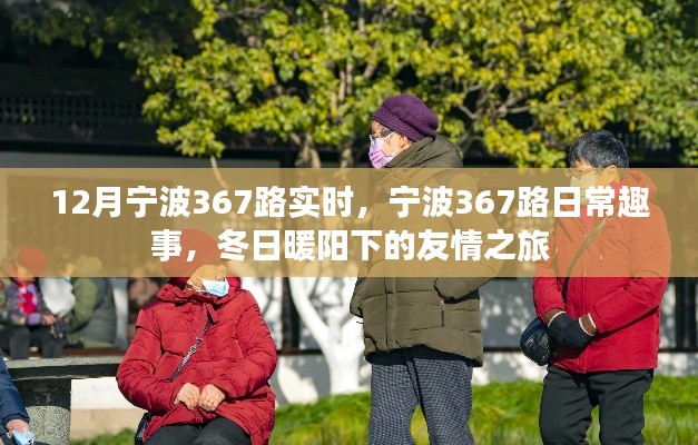 宁波367路日常趣事，冬日暖阳下的友情之旅