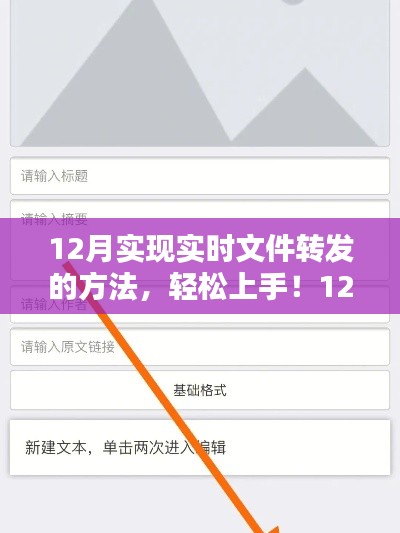 实时文件转发指南，轻松上手，掌握步骤！